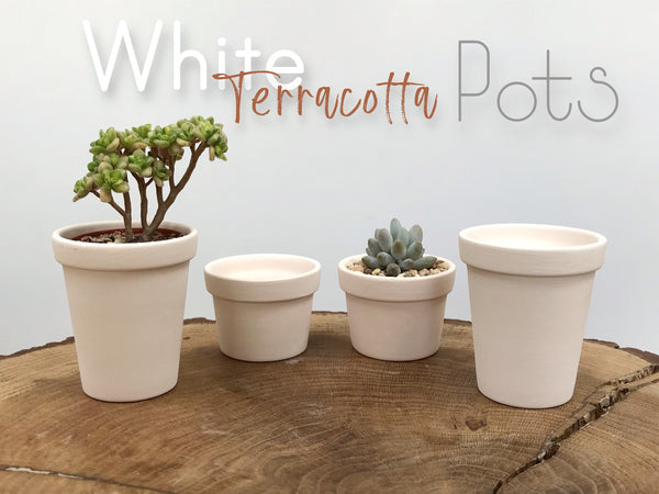 White Terracotta Clay Unglazed Pots | Desk Indoor Plant Mini Pot | Natural Minimalist